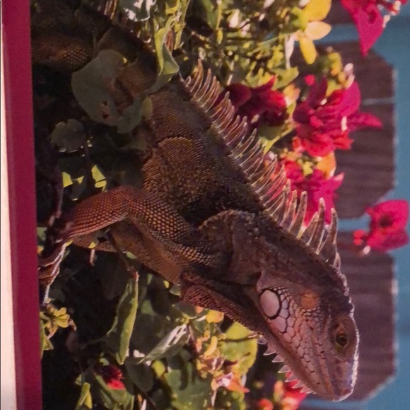 Meet your Posher, Tiffany - Picture 1 of 1